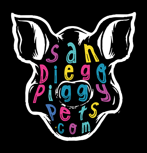 Large Piggy Head Piggy Pets 1