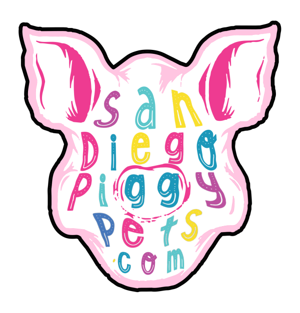 Large Piggy Head Piggy Pets Pink